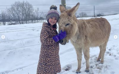 This Week on the Farm: Overcoming Winter Challenges and Preparing for Horse Boarding